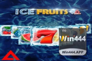 444WIN ajuda online — chat de suporte no aplicativo oficial
