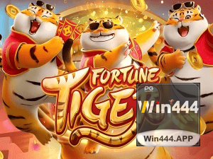 Guia install APK 444WIN BR