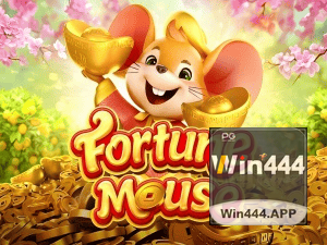 444WIN login — configurações de segurança e proteção de conta